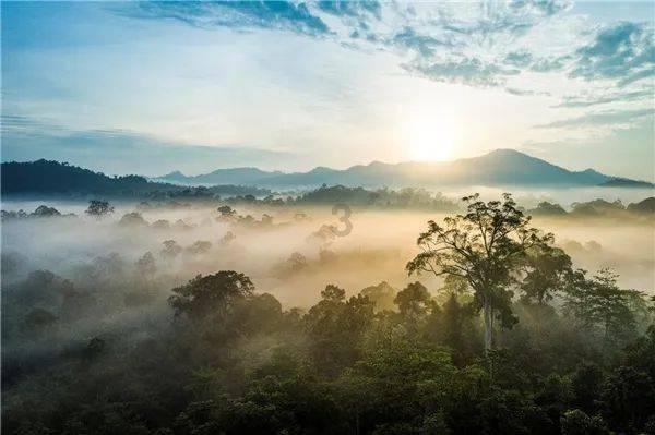 抓住“天气窗口”让物流更畅通