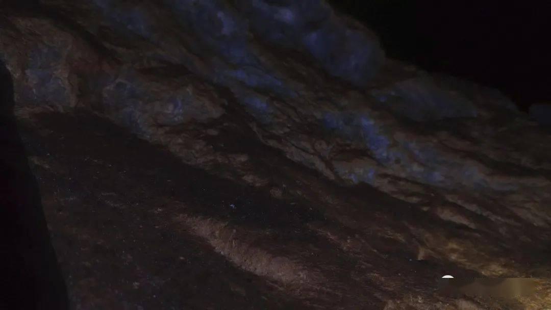 万科烟台公司回应被举报:不存在偷税漏税,将对污蔑和造谣言论采取法律手段