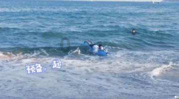 奥日与黑暗森林