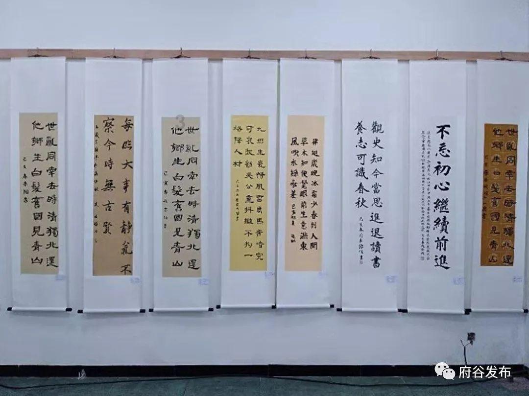 ST起步(603557.SH):不属于浙江省凤凰行动计划的对象