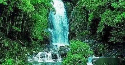 逃出美丽度假胜地