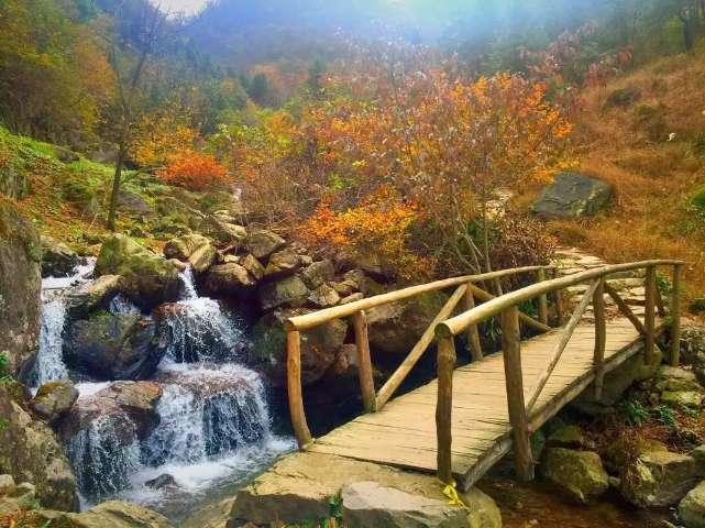 青岛哪里好玩景点排名游戏画面