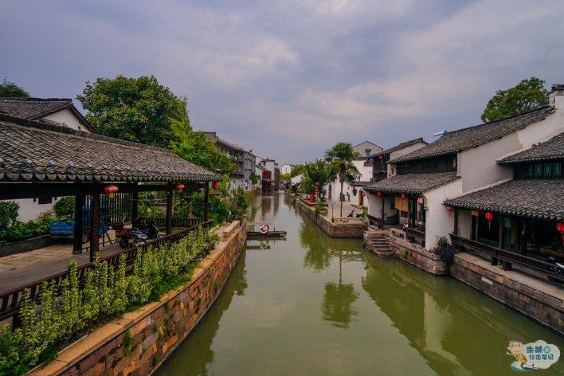 逃离棕榈树森林