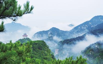 小小忍者疾风传